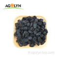 Chaud vente chinois violet raisins secs fruits secs